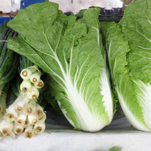 bokchoi