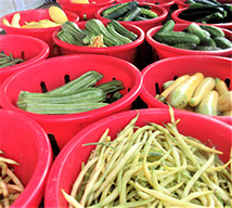 veg in a basket