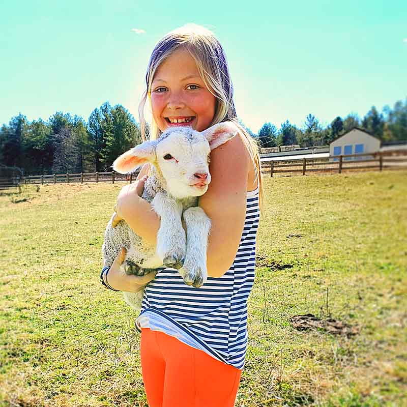 girl and lamb at lodge